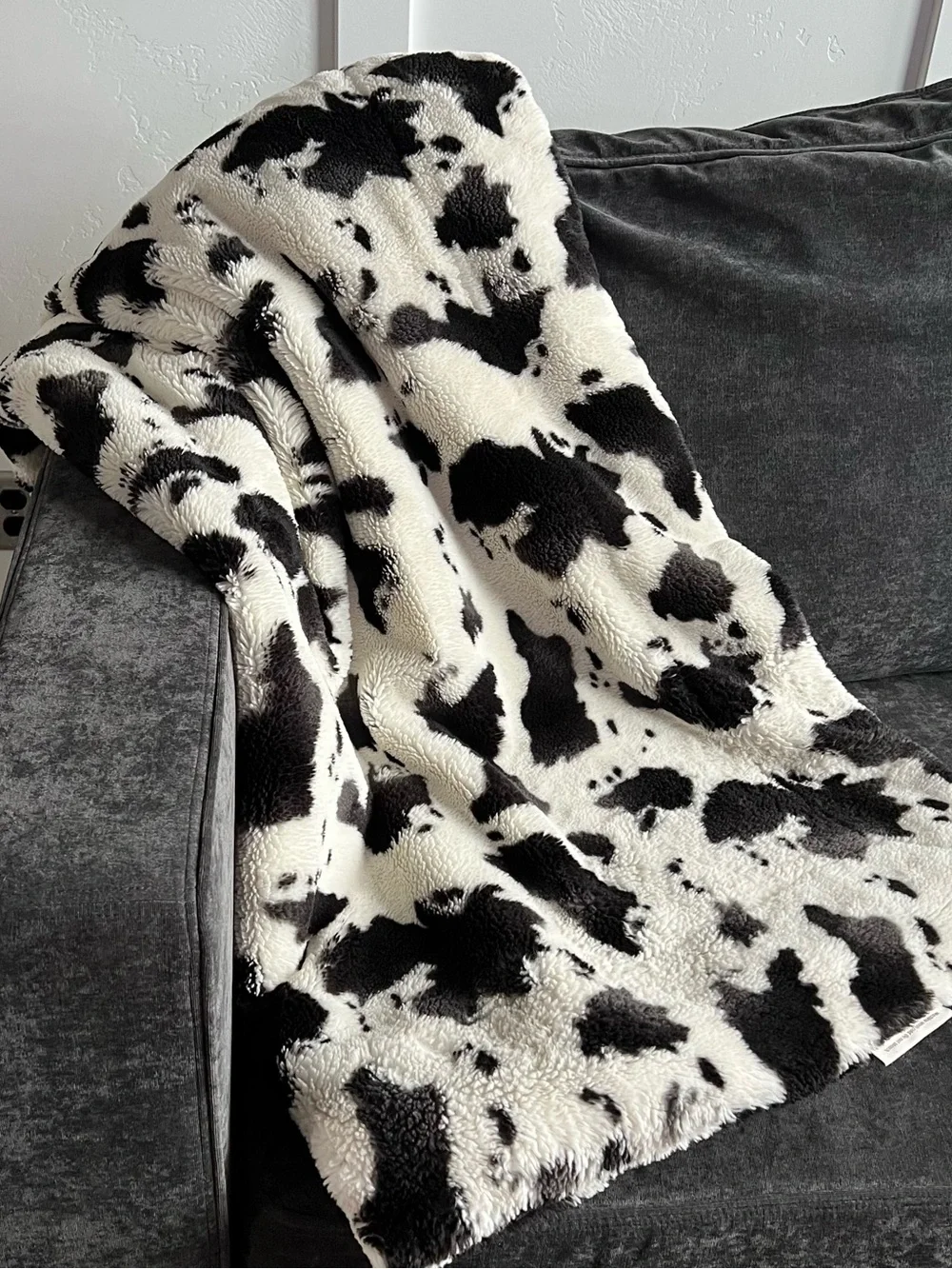 Minky Couture Urban Cowz Blanket- Adult Size